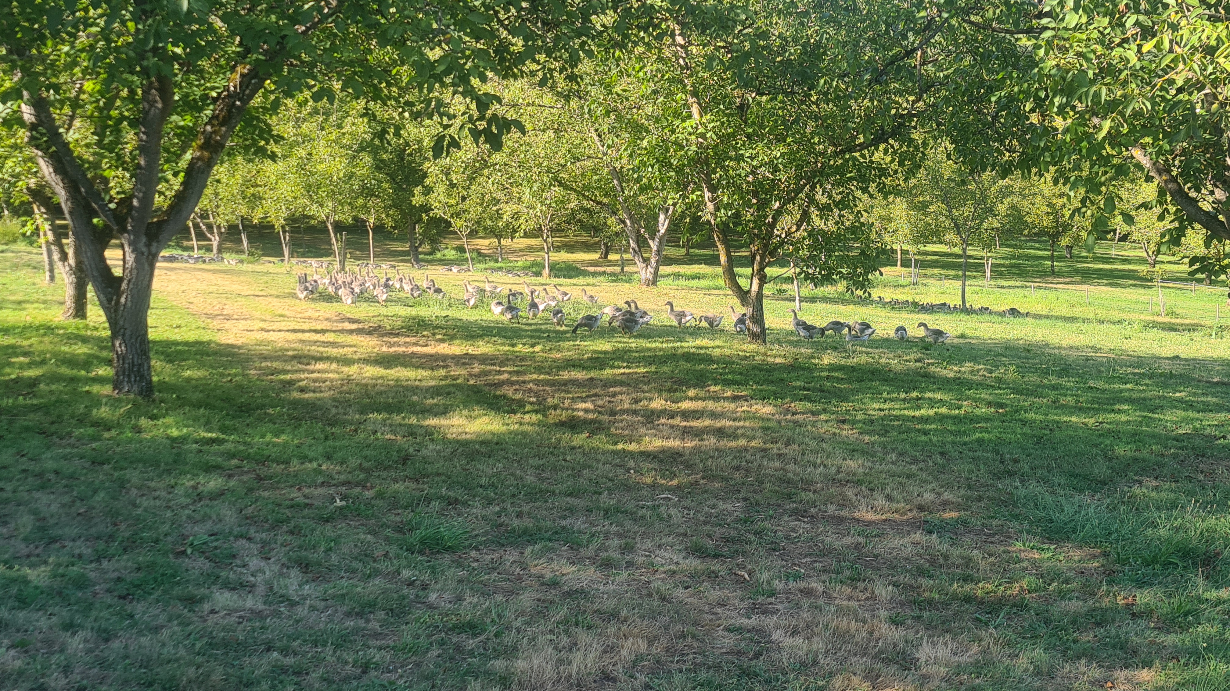 Photo n° 7 de l'avis de laurent.a fait le 09/08/2022 à 17:32