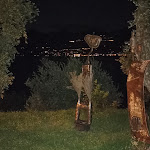 Photo n°3 de l'avis de RÜDIGER.A fait le 19/08/2021 à 21:33 sur le  Trattoria Bar Panoramico à Torri del Benaco