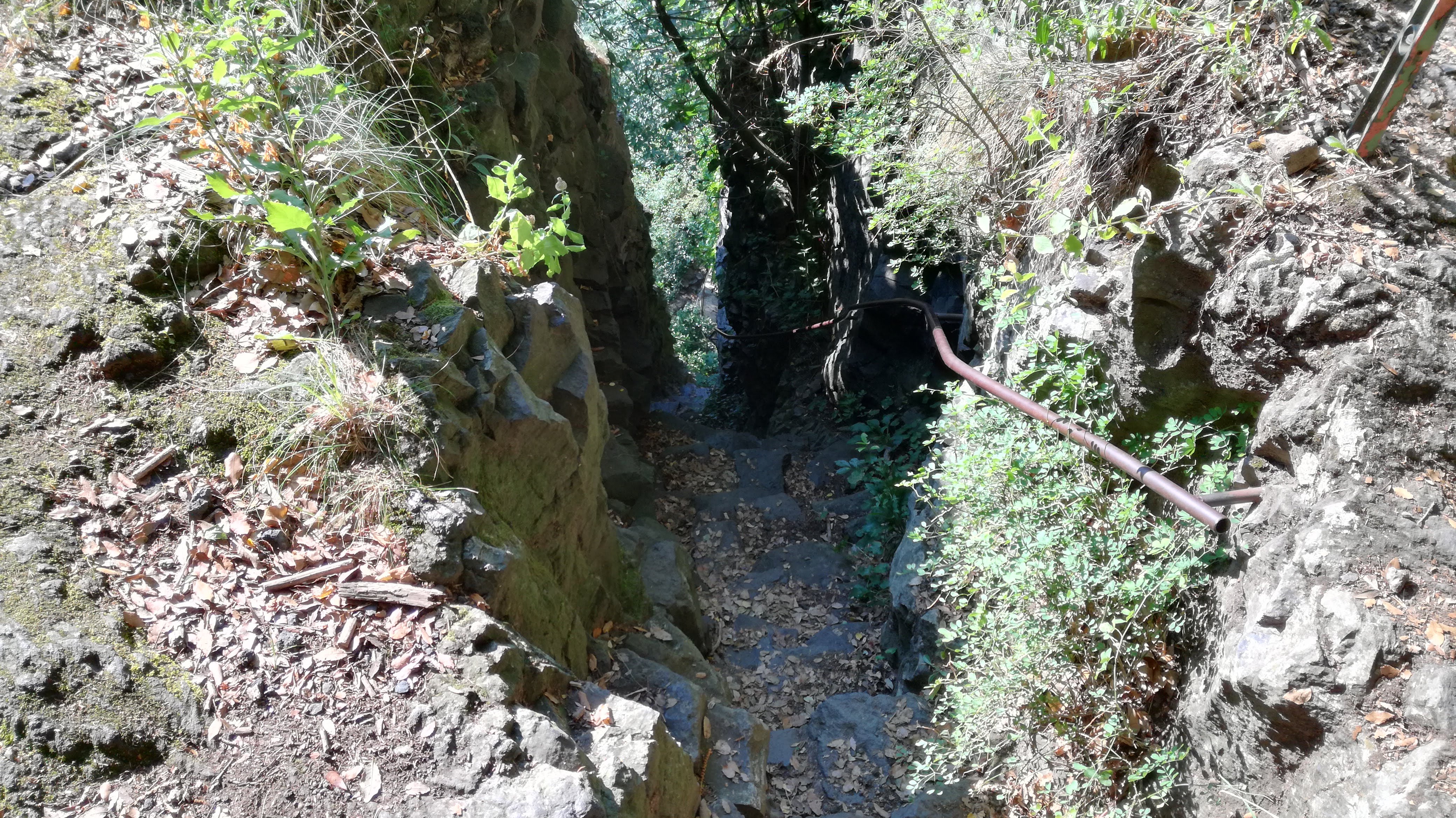 Photo n° 11 de l'avis de Thierry.i fait le 31/07/2018 à 12:45