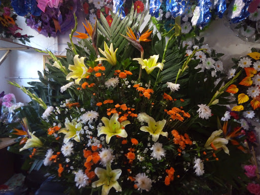 Florería D’karol – Ciudad Cuauhtemoc