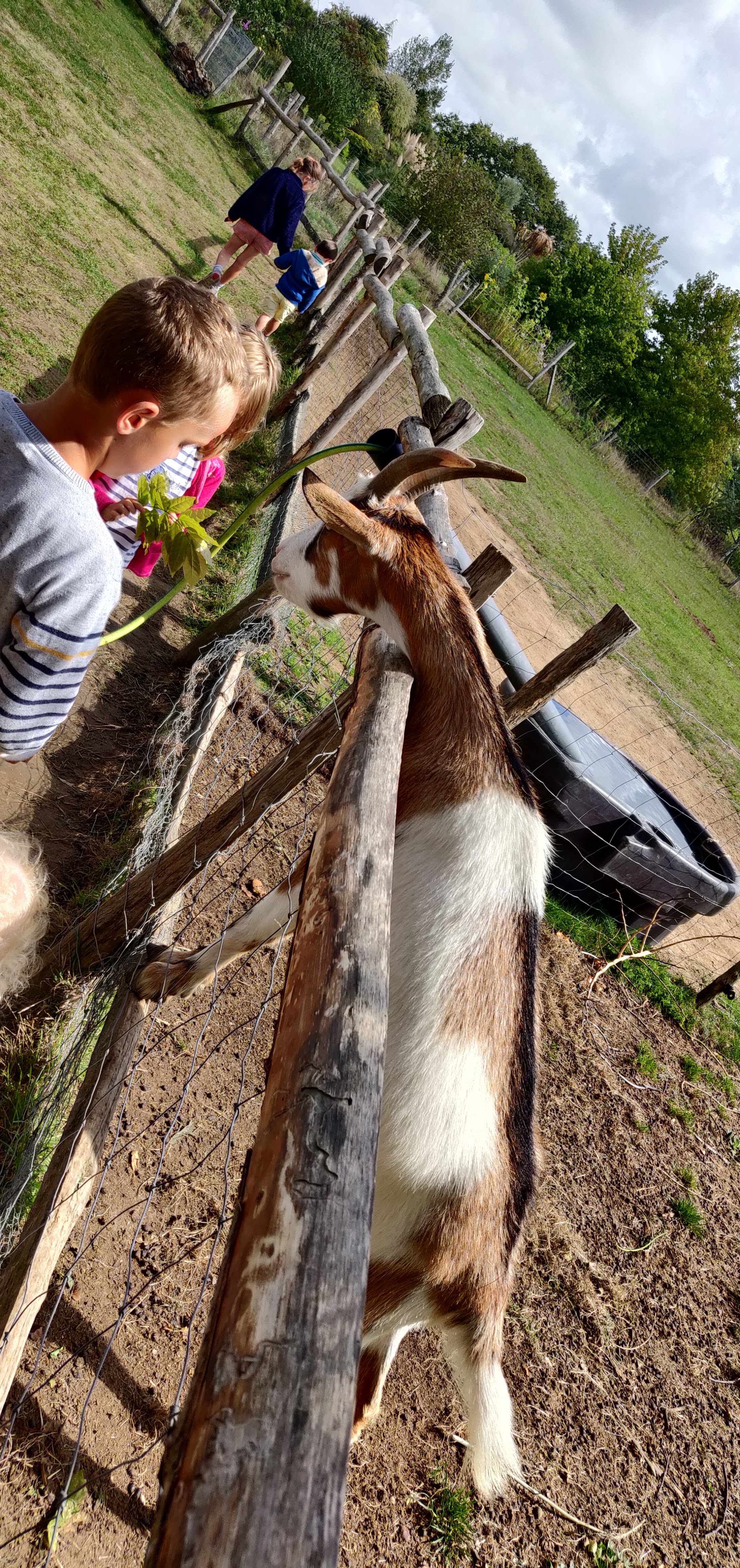 Photo n° 2 de l'avis de Frédéric.u fait le 28/08/2020 à 12:13
