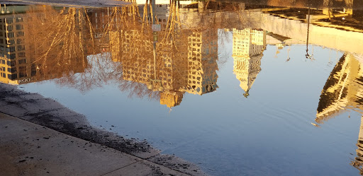 Stadium «Paul Brown Stadium», reviews and photos, 1 Paul Brown Stadium, Cincinnati, OH 45202, USA