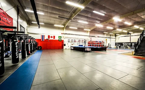 Evolve MMA & Fitness Centre image