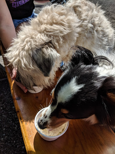 Dairy Farm «Sugar Hill Dairy», reviews and photos, 600 Pleasant St, Bridgewater, MA 02324, USA