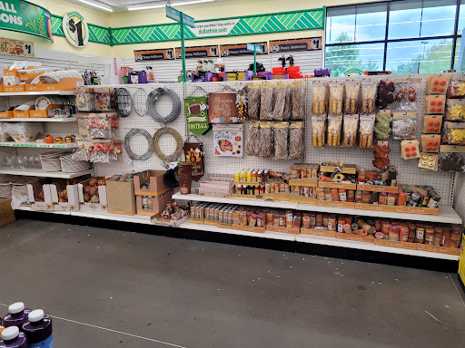 Dollar Store «Dollar Tree», reviews and photos, 4959 Bill Gardner Pkwy Ste 107, Locust Grove, GA 30248, USA