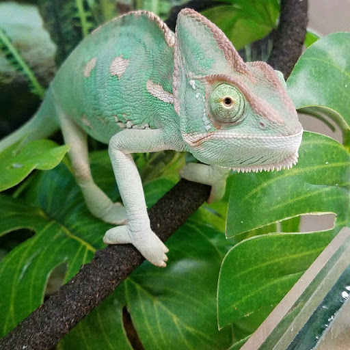 Pet Supply Store «Petco Animal Supplies», reviews and photos, 13 Welles St, Glastonbury, CT 06033, USA