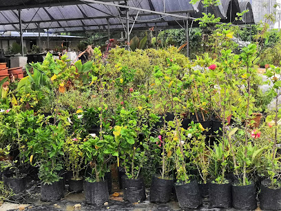 Florale Production Nursery (Klang)