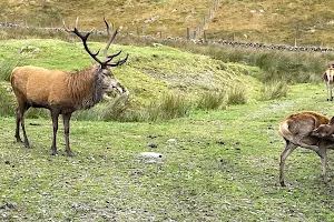 Red Deer Range image