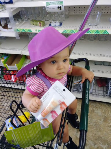 Grocery Store «Save-A-Lot», reviews and photos, 3725 Tamiami Trail E, Naples, FL 34112, USA