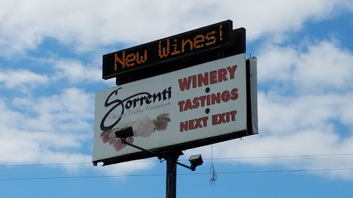 Vineyard «Sorrenti Cherry Valley Vineyard», reviews and photos, 130 Lower Cherry Valley Rd, Saylorsburg, PA 18353, USA