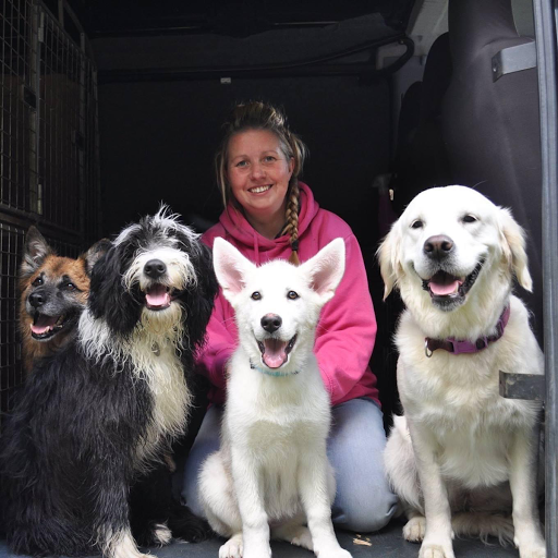 Foxy's Furry Friends - Dog Walking & Pet Care Services Bingley