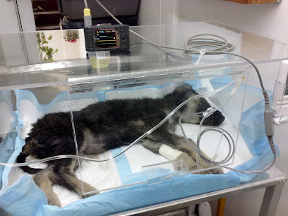Clínica Veterinaria Can -Cat