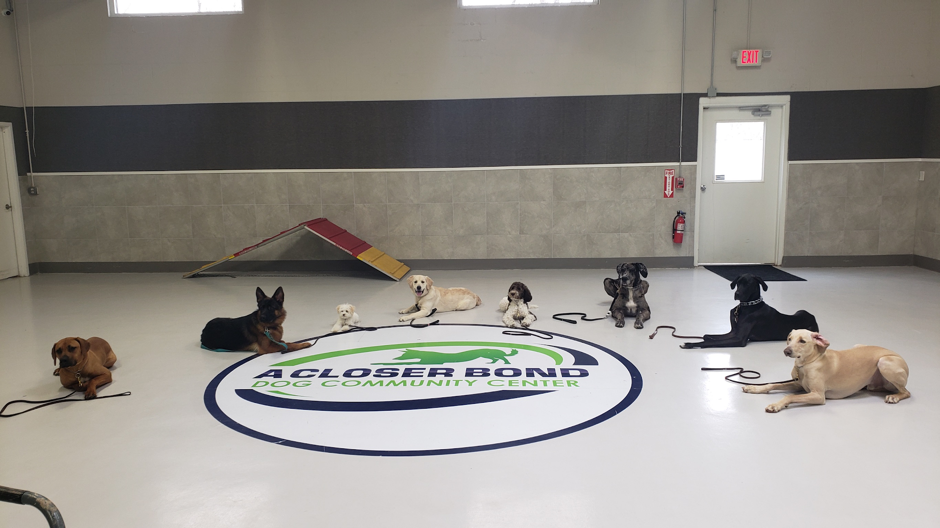 A Closer Bond Dog Training Center