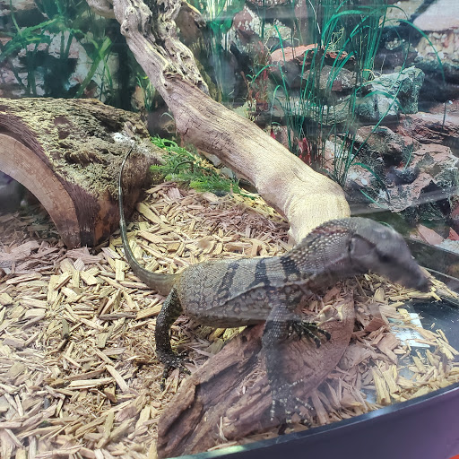 Pet Store «Pets & Such», reviews and photos, 3680 3500 S, West Valley City, UT 84120, USA