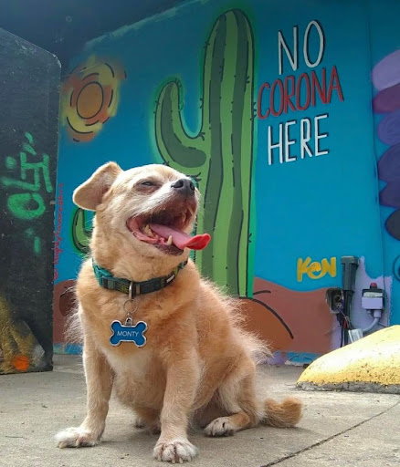 Tobacco Shop «Happy Clouds Smoke Shop», reviews and photos, 7205 N Lamar Blvd #200, Austin, TX 78752, USA