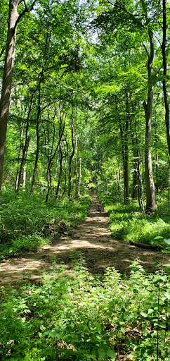 Mazda Dealer «Riley Mazda», reviews and photos, 75 Myrtle Ave, Stamford, CT 06902, USA