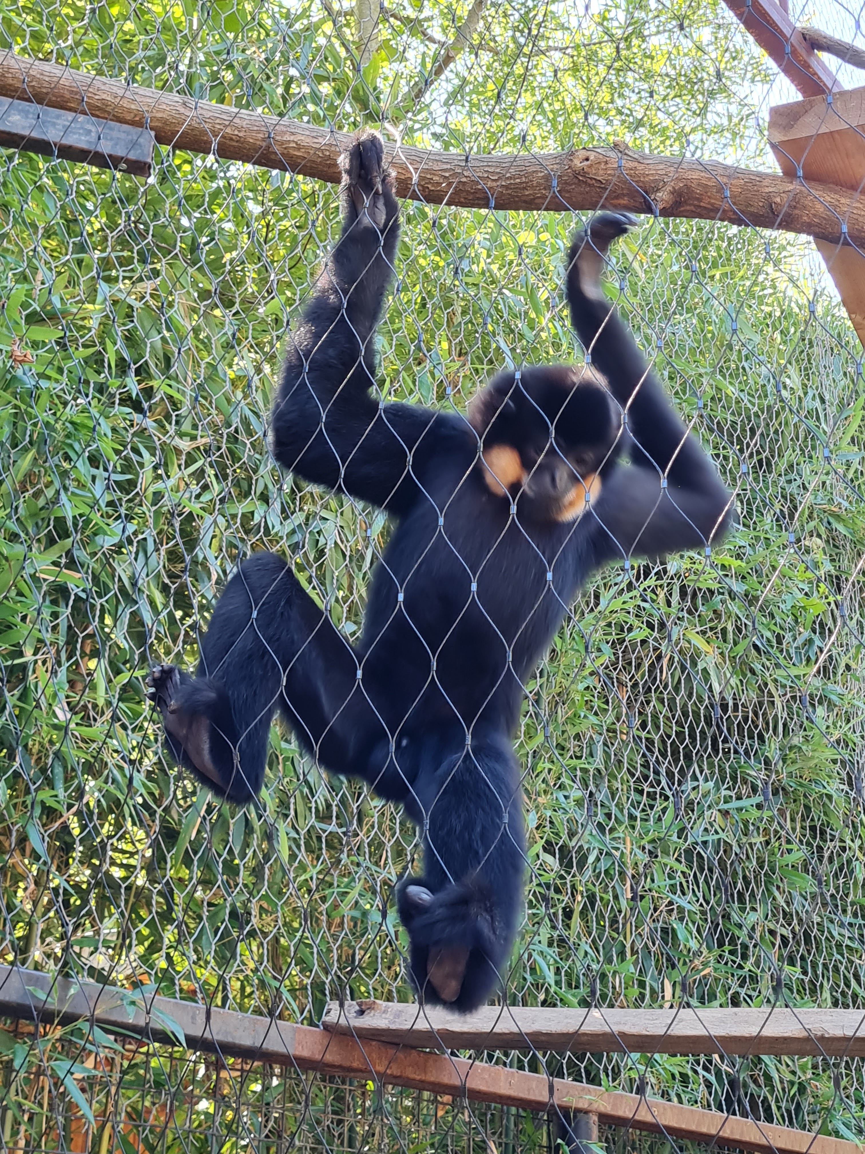Photo n° 9 de l'avis de Marjo.e fait le 29/08/2021 à 18:20