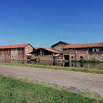 Photo n°3 de l'avis de Lorella.o fait le 11/08/2021 à 14:15 sur le  Bar Trattoria Italia à Bernate Ticino