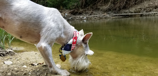 Nature Preserve «Spring Creek Forest Preserve», reviews and photos, 1770 Holford Rd, Garland, TX 75044, USA