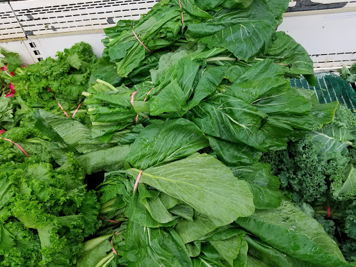 Produce Market «Viva Ranch Fruit Market», reviews and photos, 38 Centre Ave, New Rochelle, NY 10801, USA