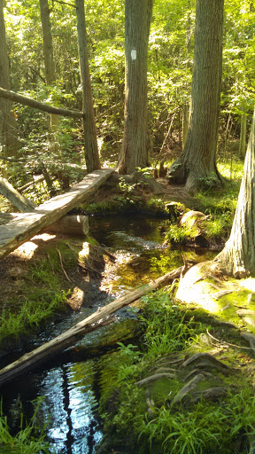 Community Park «Wells Mills County Park», reviews and photos, 905 Wells Mills Rd, Waretown, NJ 08758, USA