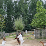 Photo n° 12 de l'avis de Syl.o fait le 03/09/2021 à 11:54 pour Ferme BelleVie à Bailly-Romainvilliers