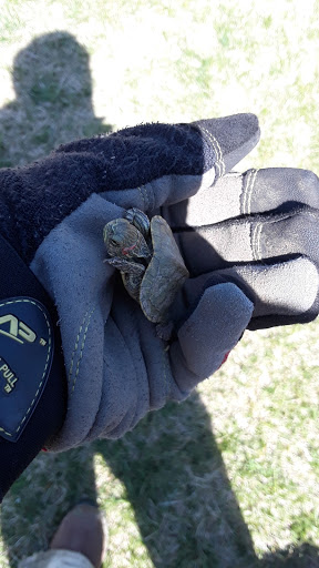 Country Club «Whitmoor Country Club», reviews and photos, 1100 Whitmoor Dr, Weldon Spring, MO 63304, USA