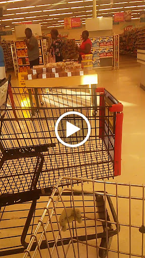 Grocery Store «Winn-Dixie», reviews and photos, 701 NW 99th Ave, Pembroke Pines, FL 33024, USA