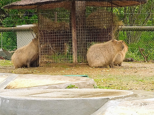 Zoo Santo Inácio