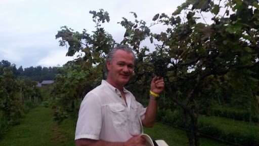 Vineyard «Saint Paul Mountain Vineyards», reviews and photos, 588 Chestnut Gap Rd, Hendersonville, NC 28792, USA