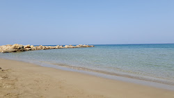 Photo de Paralimni Sands zone des équipements