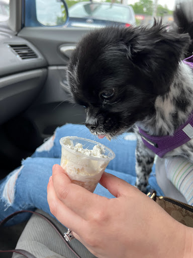 Coffee Shop «Starbucks», reviews and photos, 1674 Fort Campbell Blvd, Clarksville, TN 37042, USA