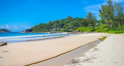 Grand Anse Beach'in fotoğrafı uçurumlarla desteklenmiş