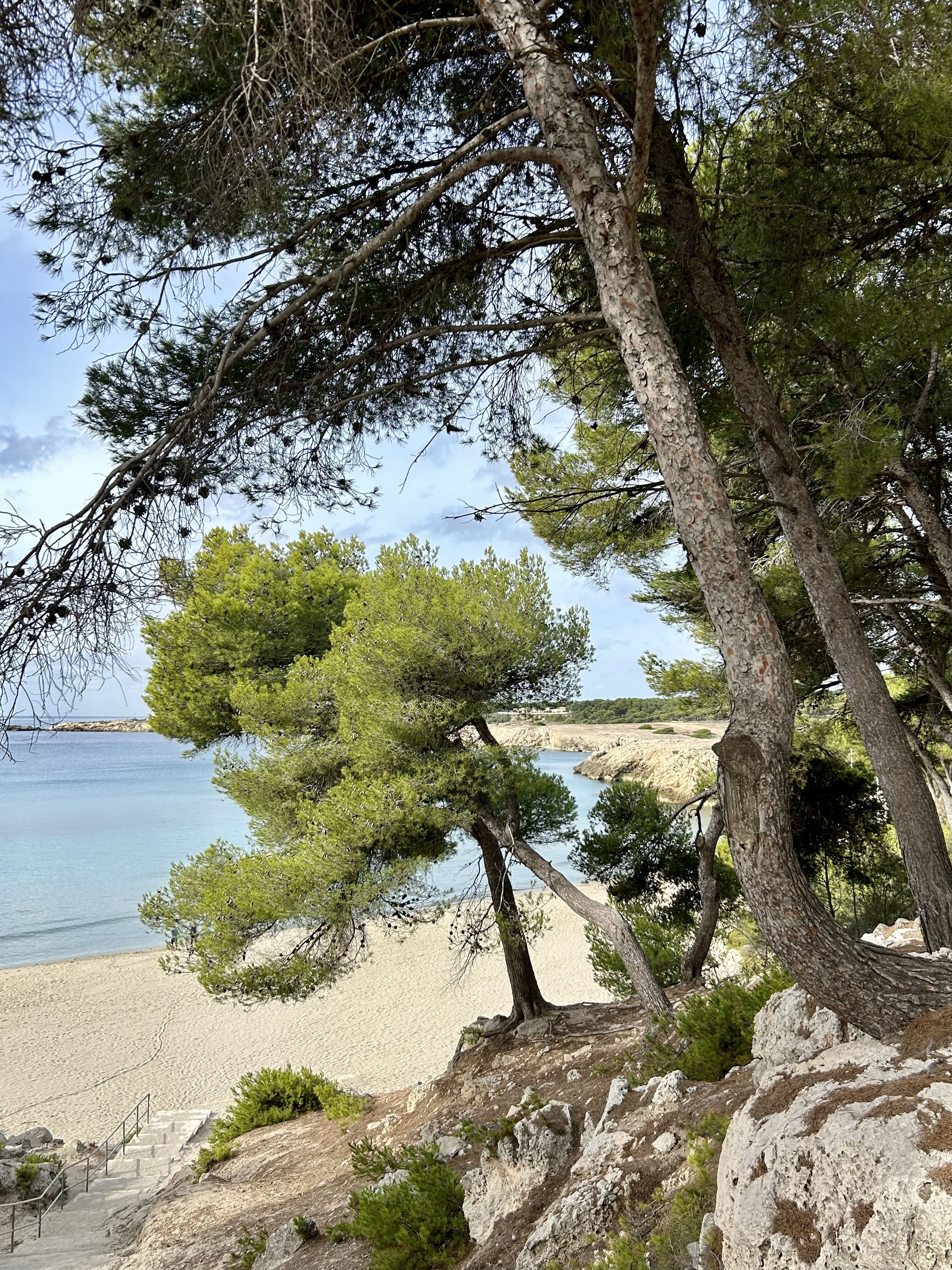 Photo n° 4 de l'avis de Zazie.' fait le 20/10/2023 à 19:52