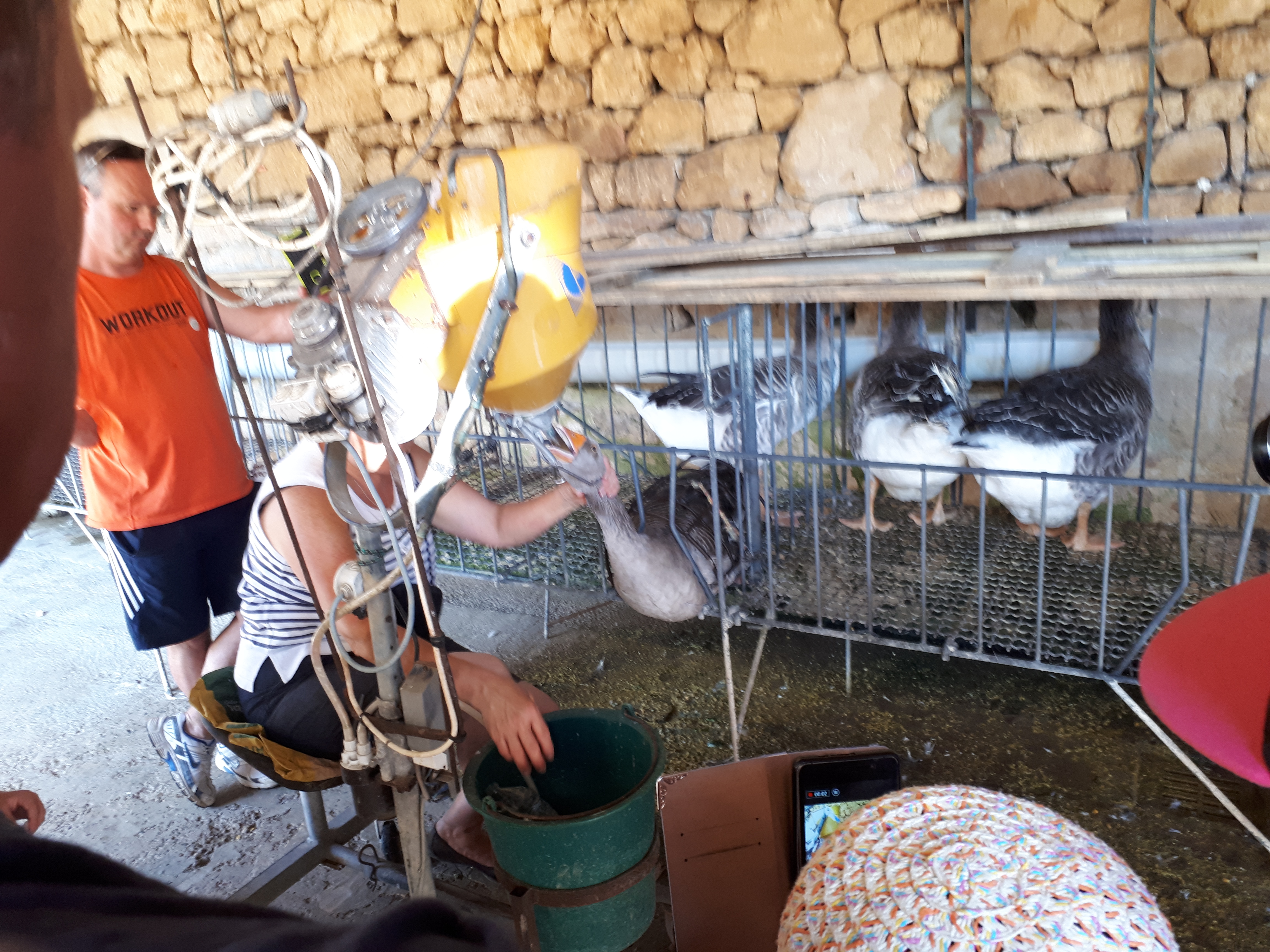 Photo n° 5 de l'avis de Quentin.e fait le 22/08/2018 à 11:36