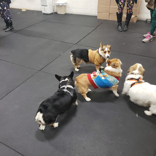 Pet Supply Store «Pet Depot Inc», reviews and photos, 2151 Greenspring Dr, Lutherville-Timonium, MD 21093, USA