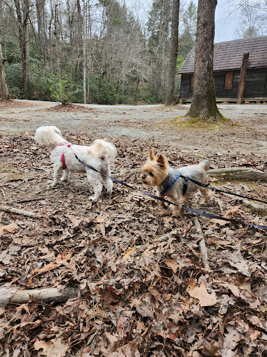 Tender Touch Pet Grooming