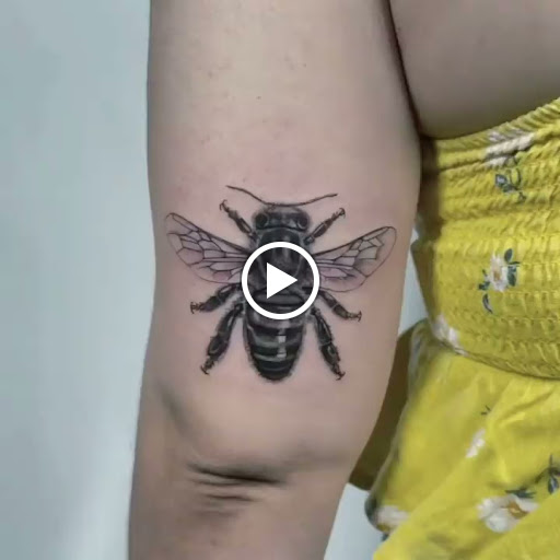 Tattoo Shop «Fallen Sparrow Tattoo Co», reviews and photos, 5049 W Irlo Bronson Memorial Hwy, Kissimmee, FL 34746, USA