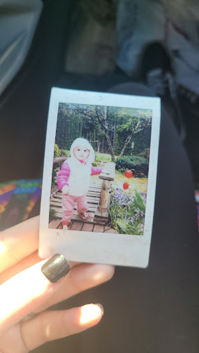 Discount Store «Walmart», reviews and photos, 9000 NE Hwy 99, Vancouver, WA 98665, USA