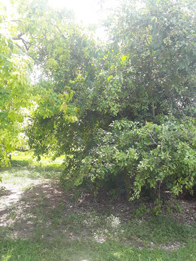 Country Club «Redland Golf & Country Club», reviews and photos, 24451 SW 177th Ave, Homestead, FL 33031, USA