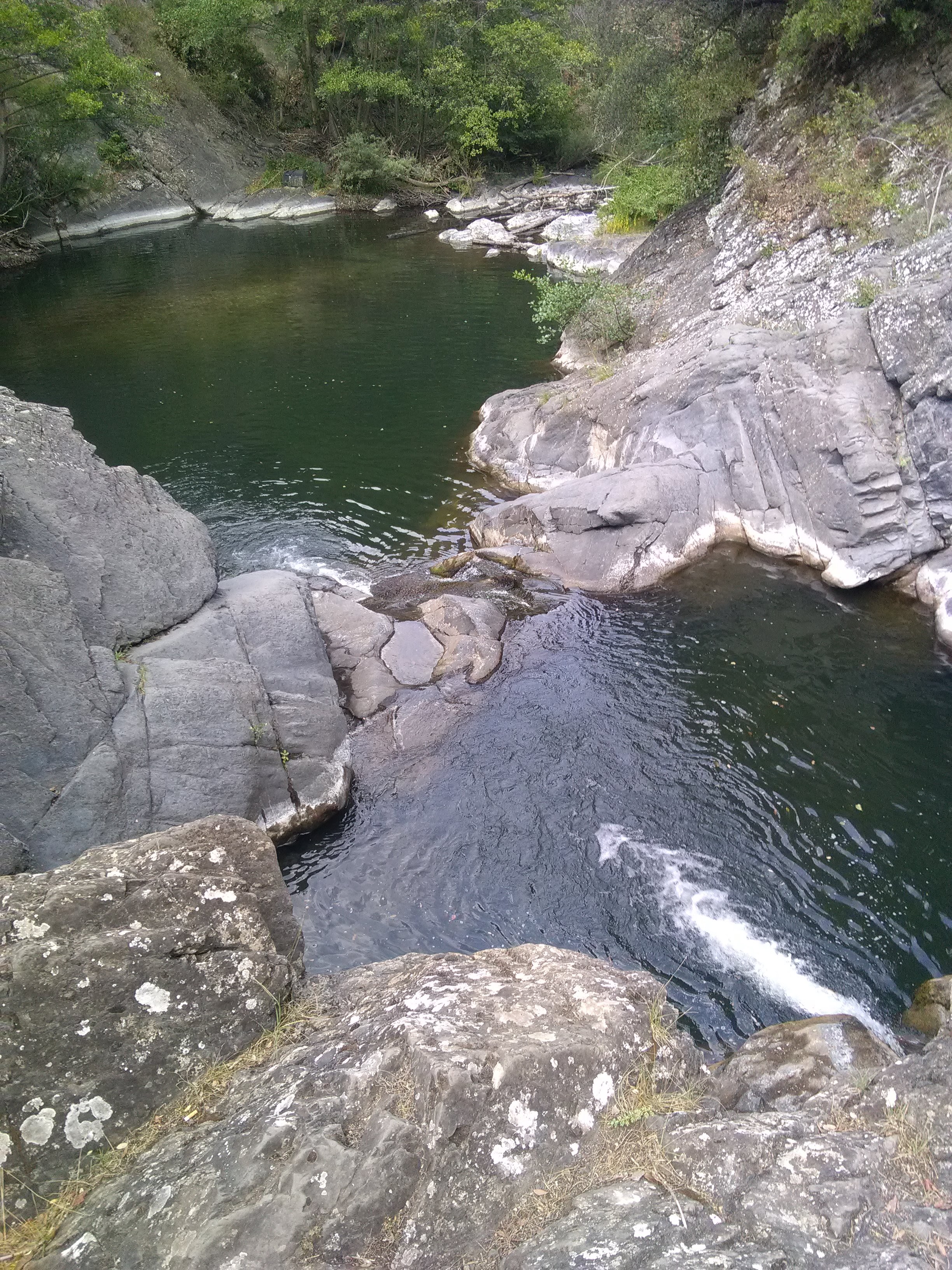 Photo n° 3 de l'avis de Foegle.e fait le 19/07/2018 à 17:00