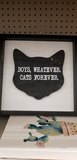 Discount Store «Big Lots», reviews and photos, 2301 Gallatin Pike N, Madison, TN 37115, USA