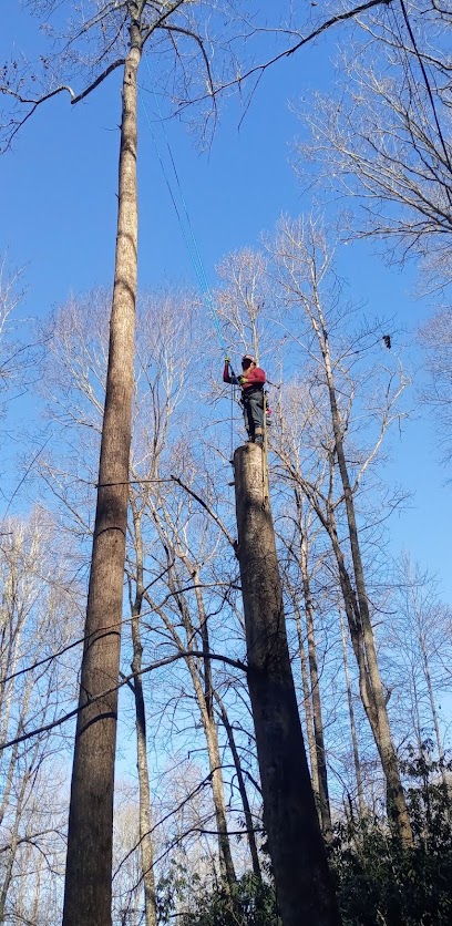 828 Tree Service, LLC