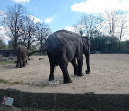 Association of Friends of the zoo Hagenbeck e.V. photo