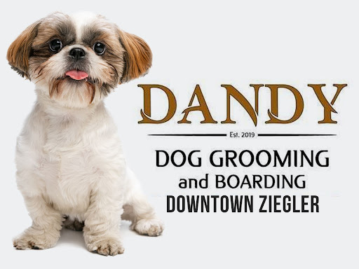 Dandy Dog's Grooming