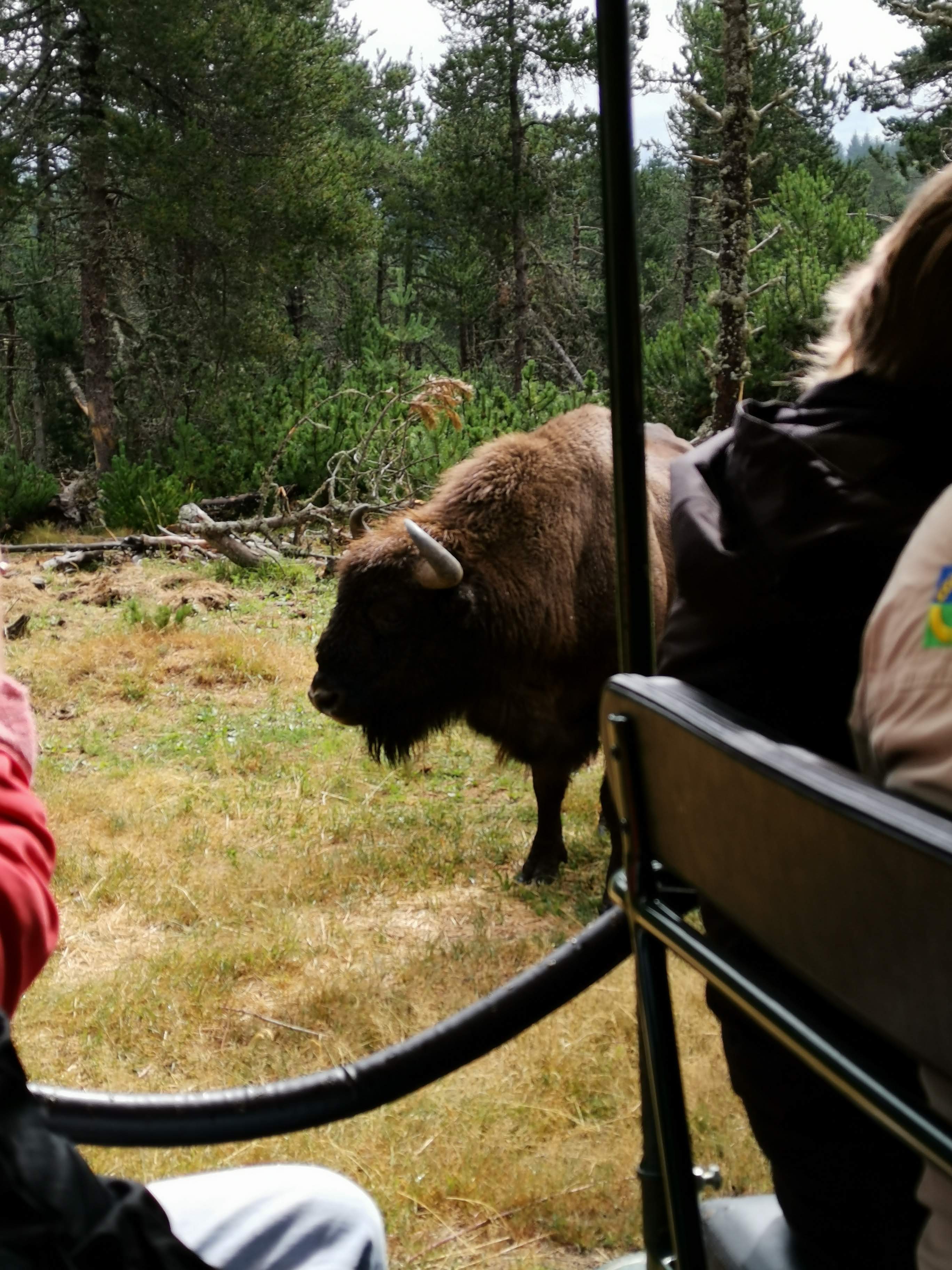Photo n° 5 de l'avis de Sandrine.e fait le 09/08/2019 à 14:07