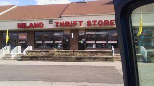 Great Lakes Thrift Store, 1093 Fort St, Lincoln Park, MI 48146, USA, 