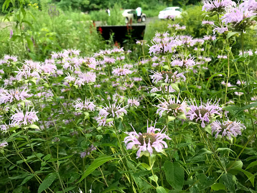 Nature Preserve «Maplewood Nature Center», reviews and photos, 2659 E 7th St, St Paul, MN 55119, USA