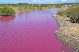 Keālia Pond National Wildlife Refuge image