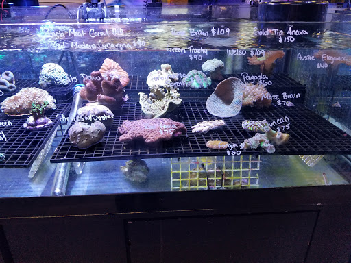 Tropical Fish Store «Aquatic Wildlife Co», reviews and photos, 70 Buckland Rd, South Windsor, CT 06074, USA